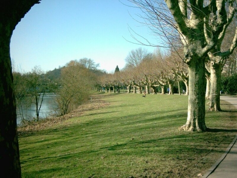 Am Staden